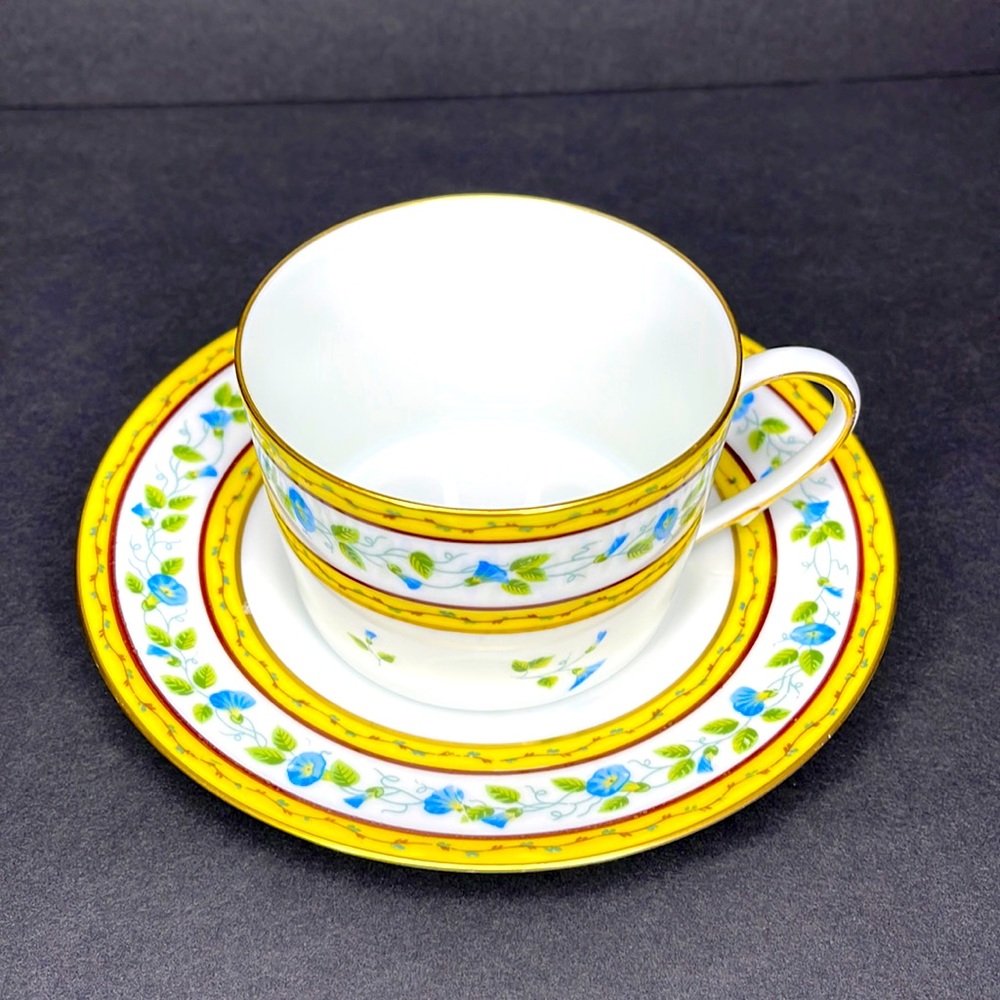 Raynaud & Co. Ceralene Limoges (France) 'Morning Glory Spray' Set
